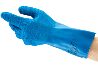 Food Gloves